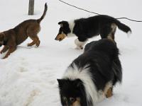 2009_03_01 bella bei gebsi_001